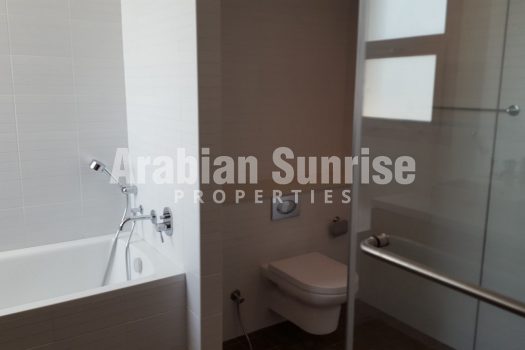 Hot Deal! Luxurious Apt with Full facilities