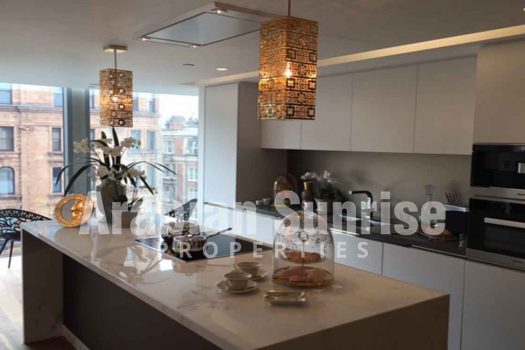 Luxurious Apt in London with High end interiors