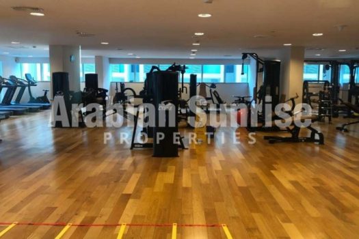Vacant Fully Furnished Apt With Road View